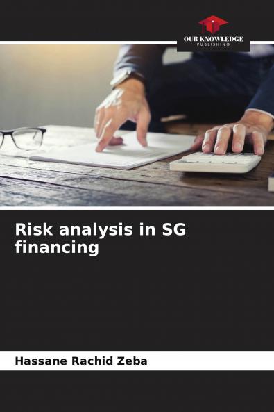 Risk analysis in SG financing
