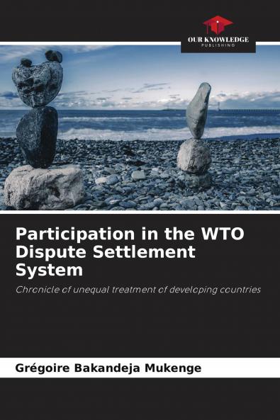 Participation in the WTO Dispute Settlement System