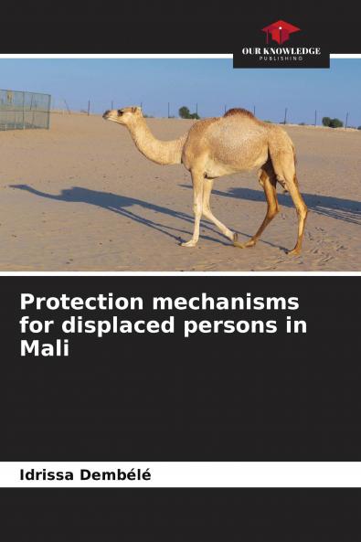 Protection mechanisms for displaced persons in Mali