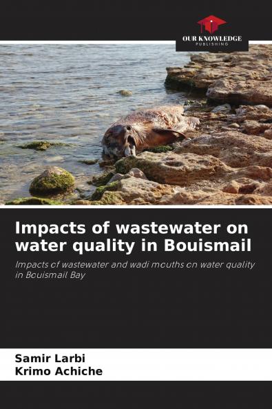 Impacts of wastewater on water quality in Bouismail
