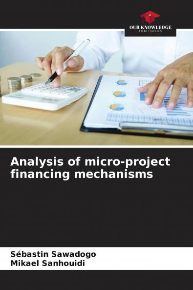 Analysis of micro-project financing mechanisms