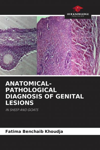 ANATOMICAL-PATHOLOGICAL DIAGNOSIS OF GENITAL LESIONS