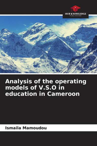 Analysis of the operating models of V.S.O in education in Cameroon