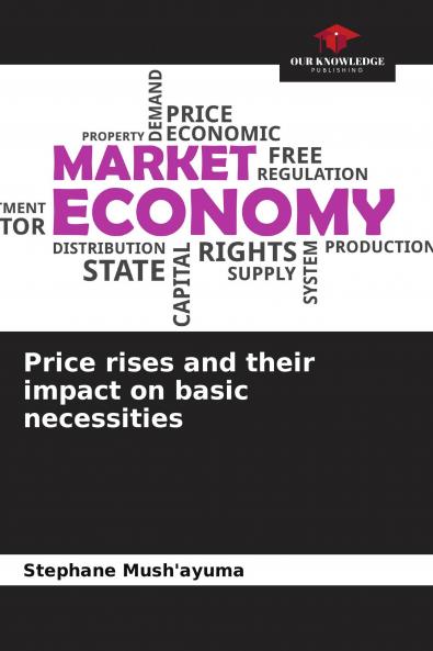 Price rises and their impact on basic necessities