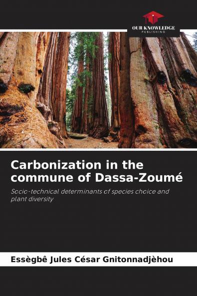 Carbonization in the commune of Dassa-Zoum��