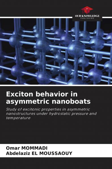 Exciton behavior in asymmetric nanoboats