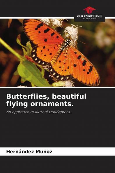 Butterflies beautiful flying ornaments.