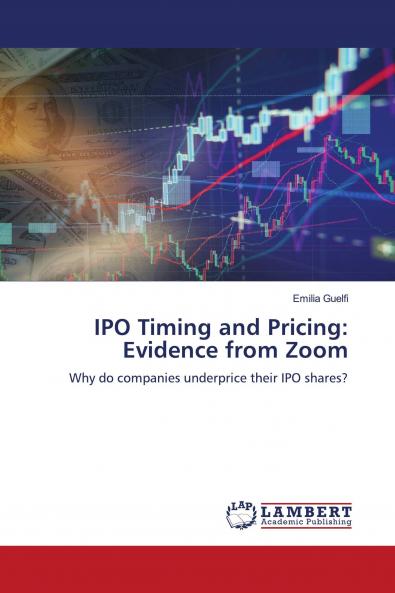 IPO Timing and Pricing: Evidence from Zoom