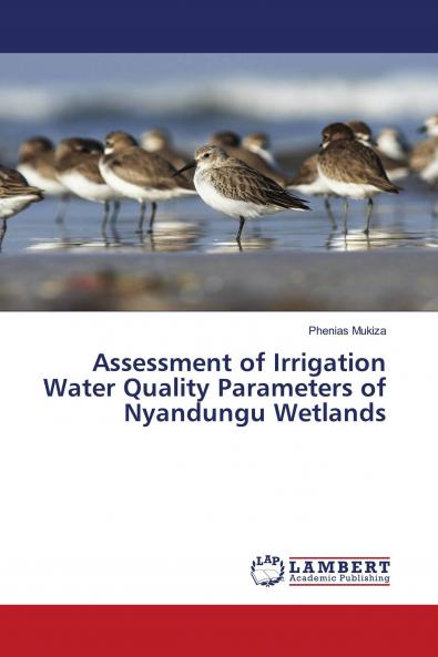 Assessment of Irrigation Water Quality Parameters of Nyandungu Wetlands