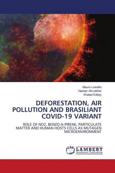 DEFORESTATION AIR POLLUTION AND BRASILIANT COVID-19 VARIANT