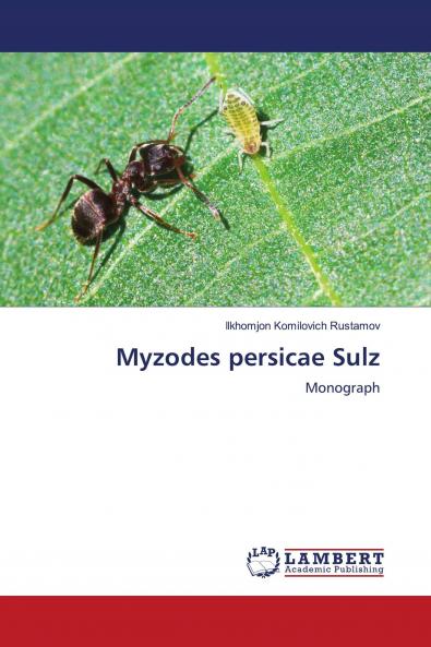 Myzodes persicae Sulz