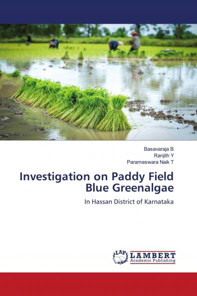 Investigation on Paddy Field Blue Greenalgae