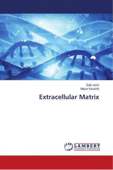 Extracellular Matrix