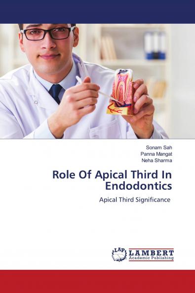 Role Of Apical Third In Endodontics