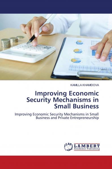 Improving Economic Security Mechanisms in Small Business