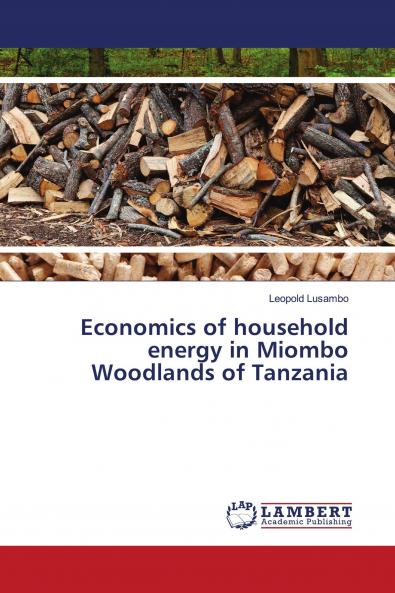 Economics of household energy in Miombo Woodlands of Tanzania