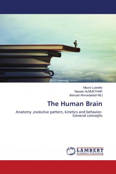 The Human Brain