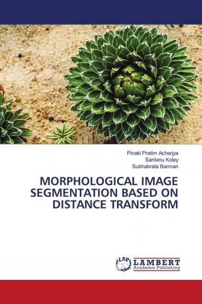 MORPHOLOGICAL IMAGE SEGMENTATION BASED ON DISTANCE TRANSFORM