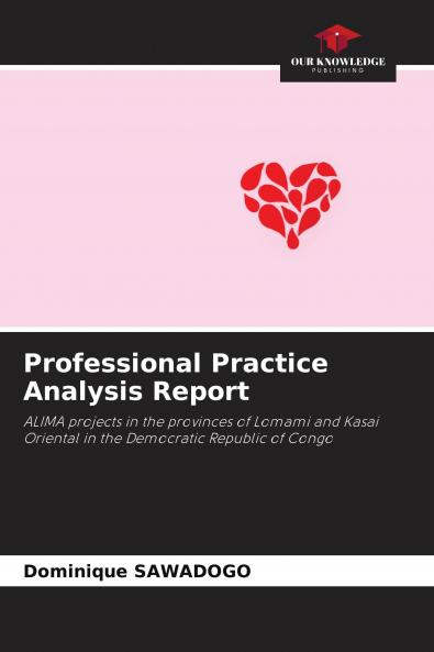 Professional Practice Analysis Report