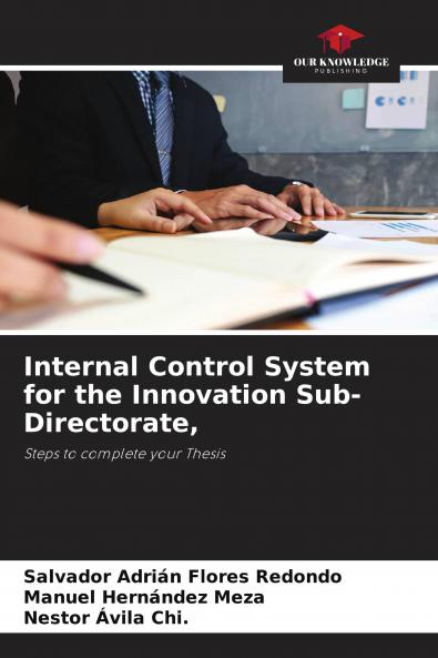 Internal Control System for the Innovation Sub-Directorate