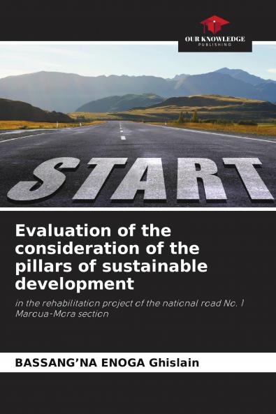Evaluation of the consideration of the pillars of sustainable development