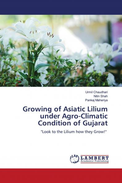 Growing of Asiatic Lilium under Agro-Climatic Condition of Gujarat