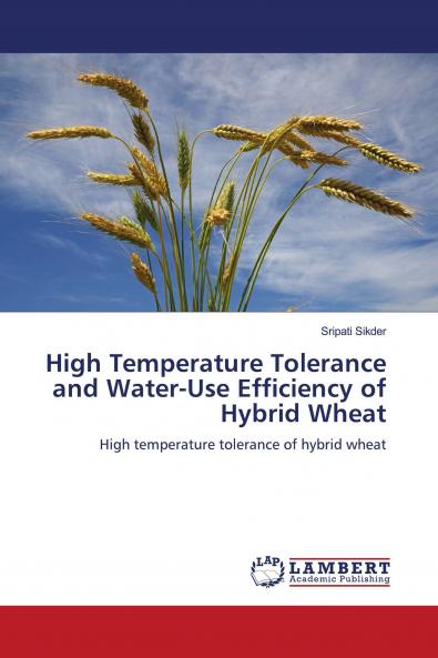 High Temperature Tolerance and Water-Use Efficiency of Hybrid Wheat