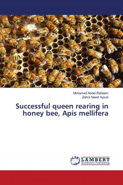 Successful queen rearing in honey bee Apis mellifera