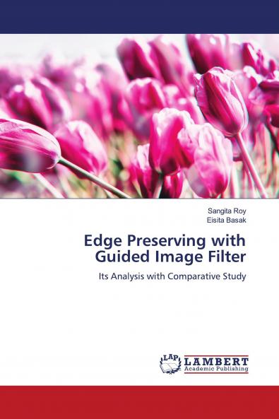 Edge Preserving with Guided Image Filter