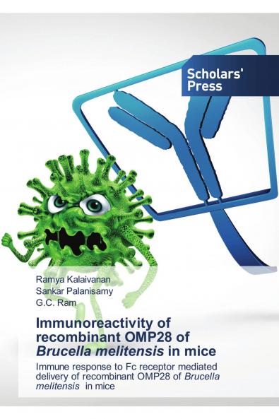 Immunoreactivity of recombinant OMP28 of Brucella melitensis in mice