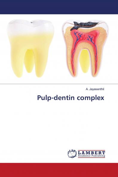 Pulp-dentin complex