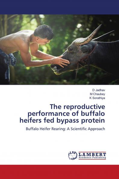 The reproductive performance of buffalo heifers fed bypass protein