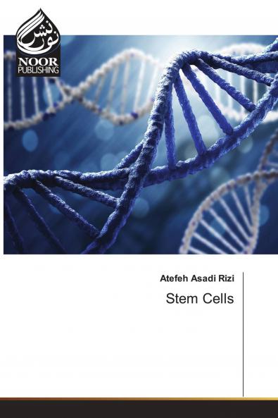 Stem Cells