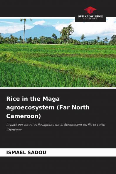 Rice in the Maga agroecosystem (Far North Cameroon)