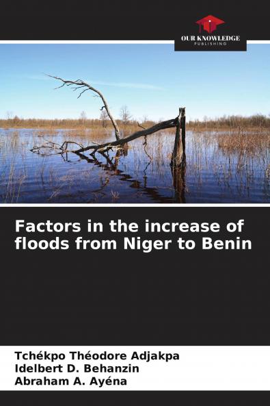 Factors in the increase of floods from Niger to Benin