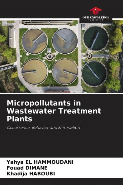 Micropollutants in Wastewater Treatment Plants