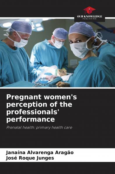 Pregnant women's perception of the professionals' performance