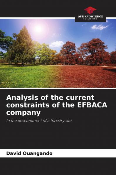Analysis of the current constraints of the EFBACA company