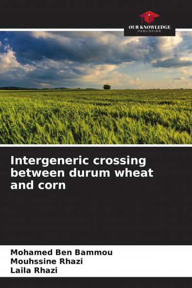 Intergeneric crossing between durum wheat and corn