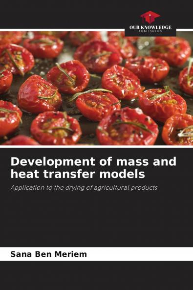 Development of mass and heat transfer models
