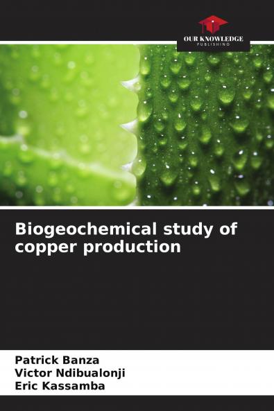 Biogeochemical study of copper production