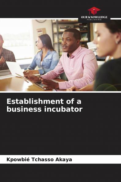 Establishment of a business incubator