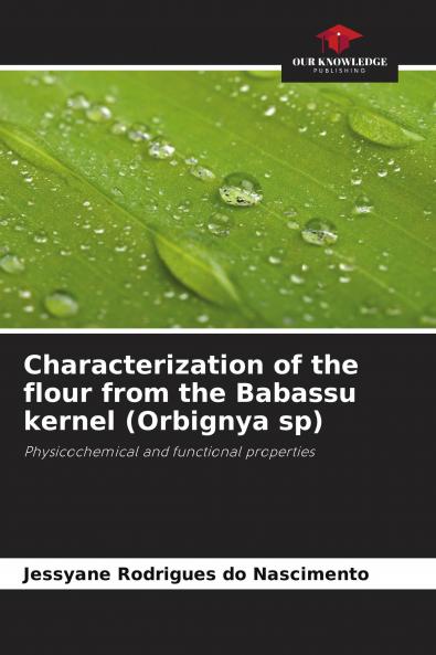 Characterization of the flour from the Babassu kernel (Orbignya sp)