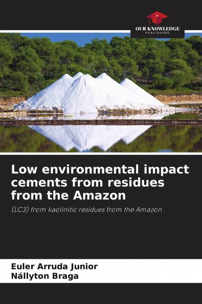 Low environmental impact cements from residues from the Amazon
