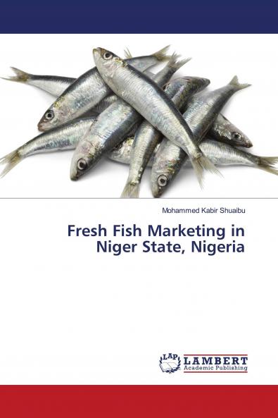 Fresh Fish Marketing in Niger State Nigeria