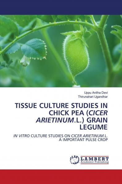 TISSUE CULTURE STUDIES IN CHICK PEA (CICER ARIETINUM.L.) GRAIN LEGUME