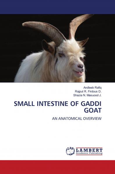 SMALL INTESTINE OF GADDI GOAT