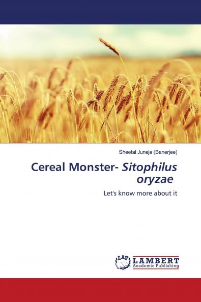 Cereal Monster- Sitophilus oryzae