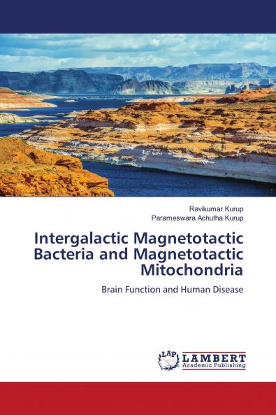 Intergalactic Magnetotactic Bacteria and Magnetotactic Mitochondria