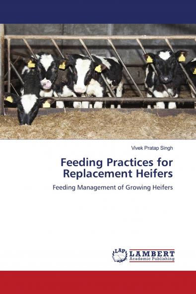 Feeding Practices for Replacement Heifers